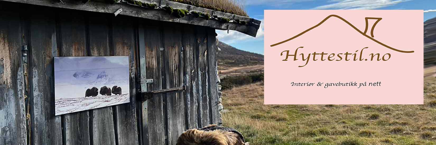 hytta p fjellet, hytta ved sjen, interir til hytta, hytteinterir, Halvor Bakke, Lama, Lexington, Chic Antique, Trend design